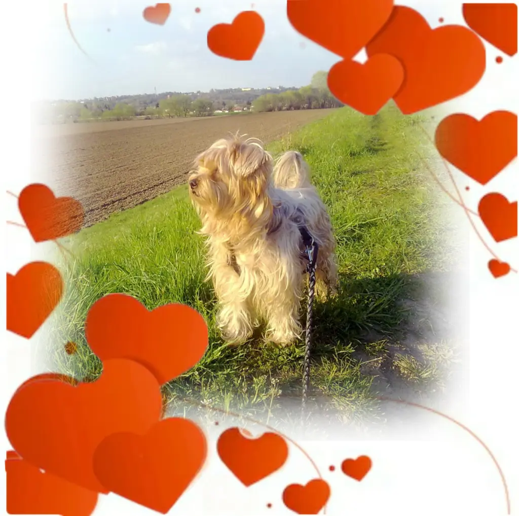 Condolence image of Ewa & Krzysztof 