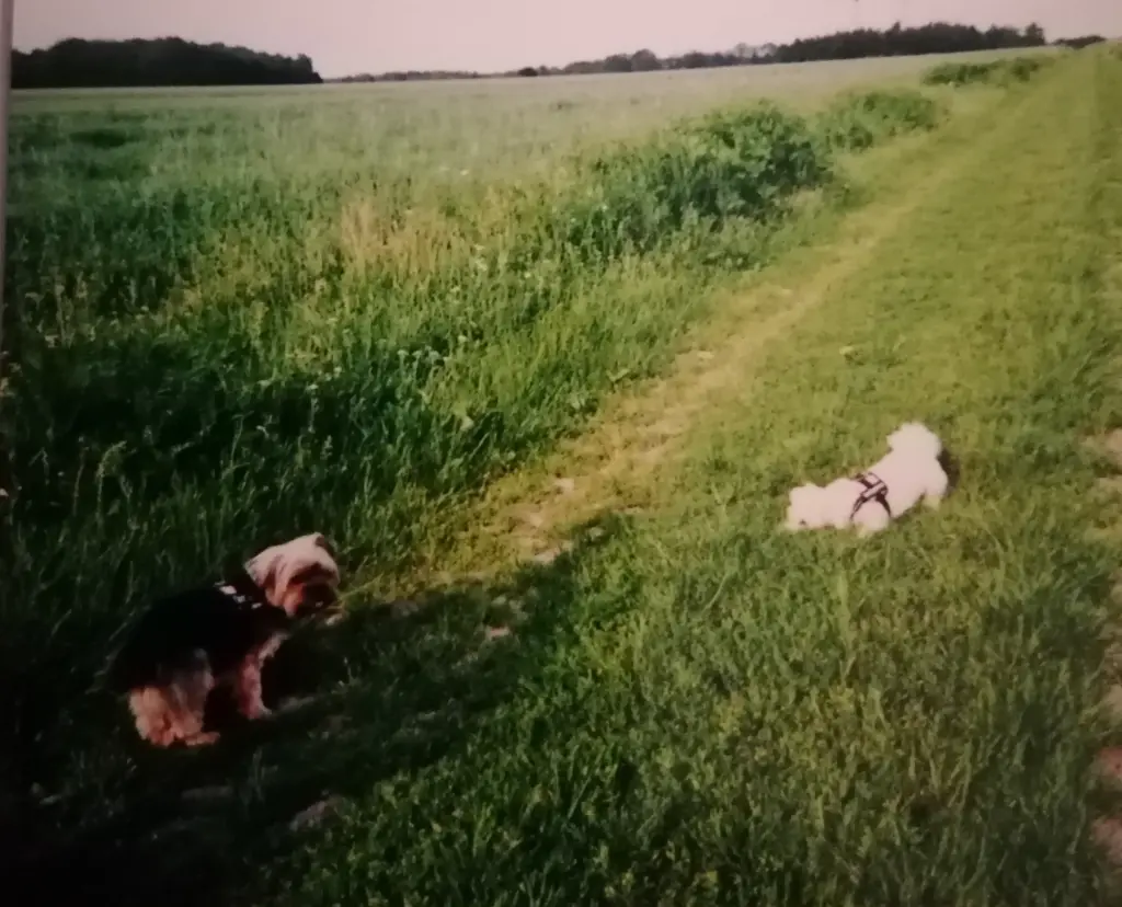 Condolence image of Unbekannt