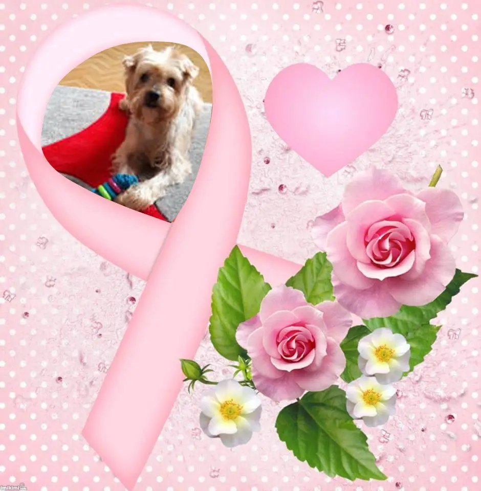 Condolence image of 27....Tygodni....Bez Ciebie❤️⭐️Jackusiu❤️⭐️