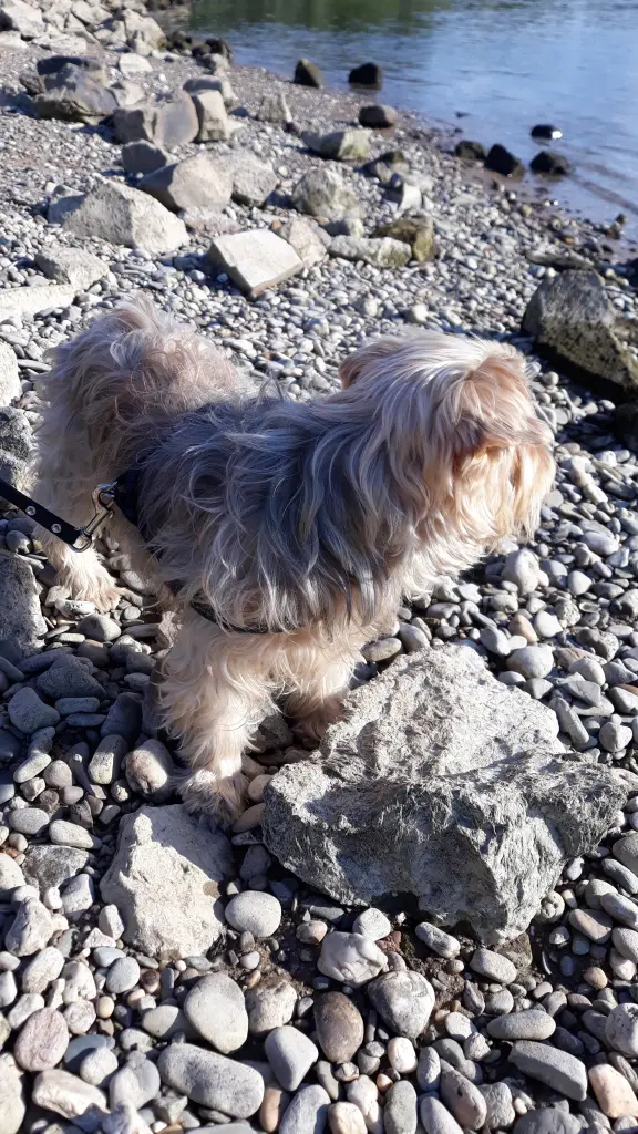 Condolence image of Ewa & Krzysztof 