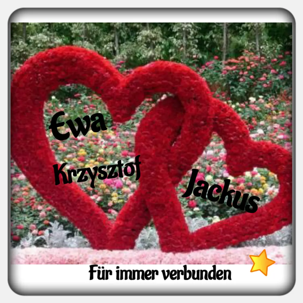 Condolence image of Martina mit Seelenhund Samy ♥️⭐♥️ für immer im Herzen 