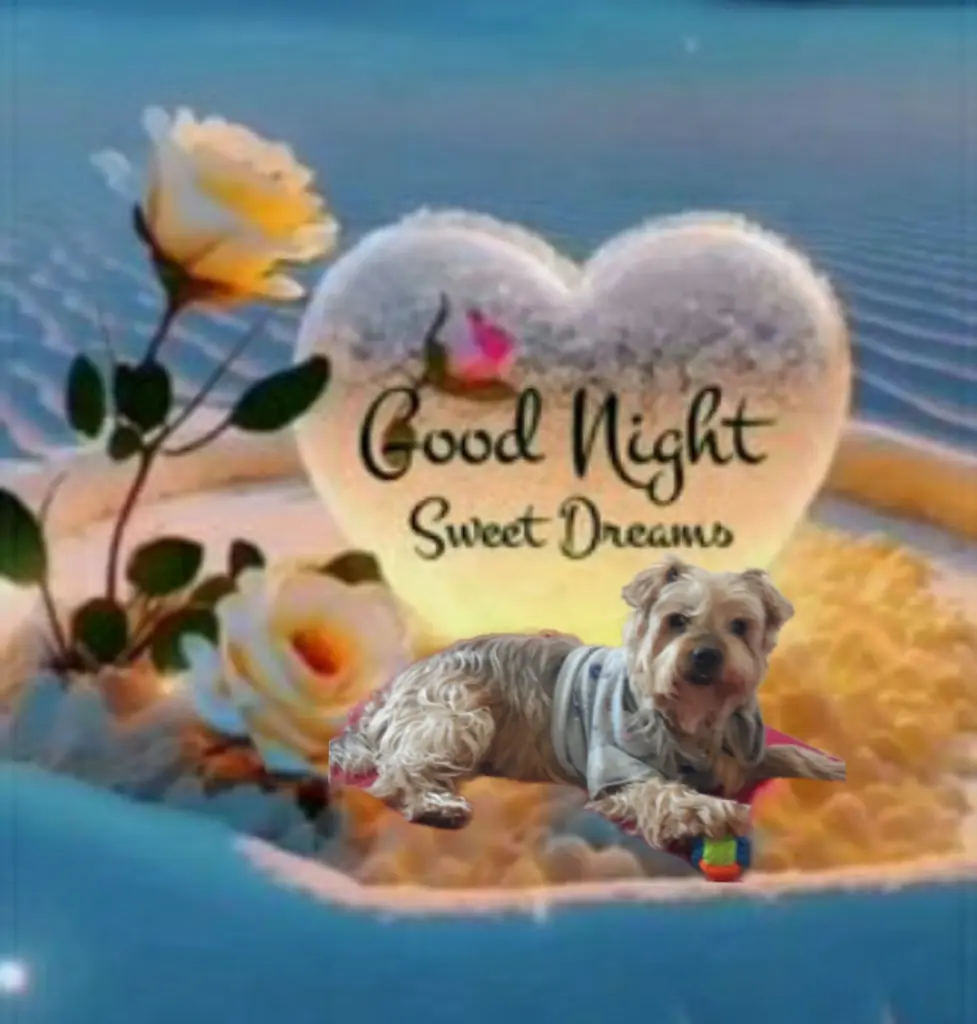 Condolence image of ⭐❤Good Night❤⭐