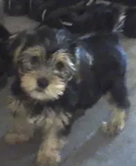 Condolence image of Ewa & Krzysztof 