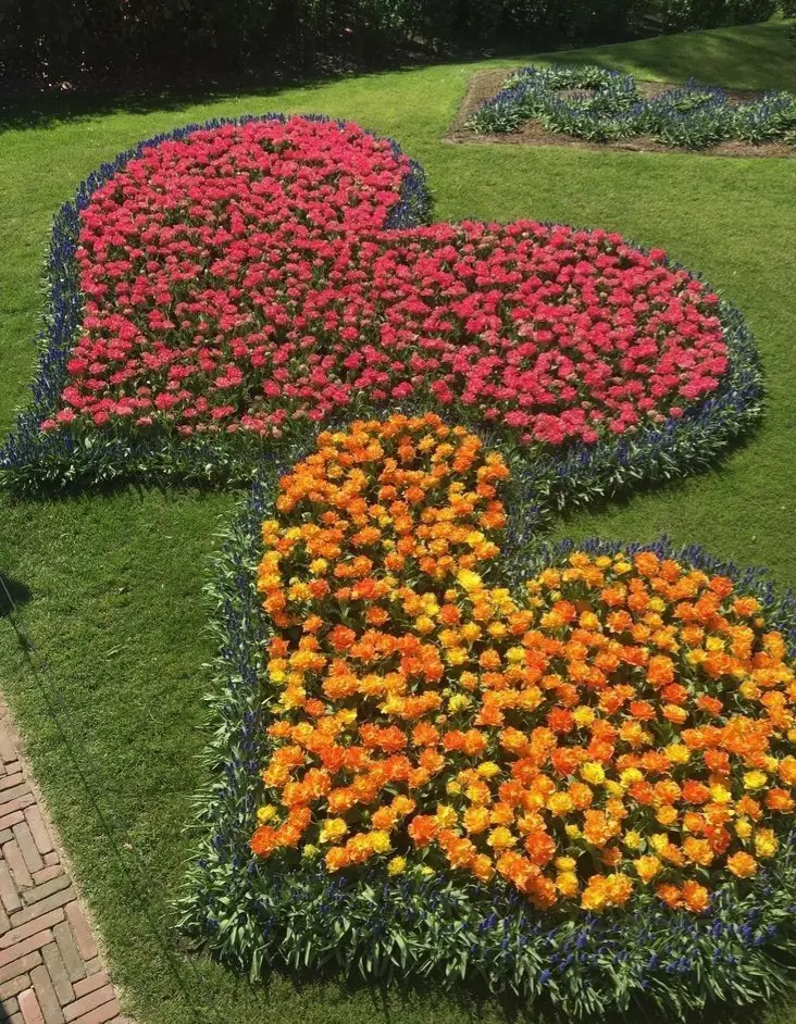 Condolence image of Martina mit Seelenhund Samy ♥️⭐♥️ für immer im Herzen 