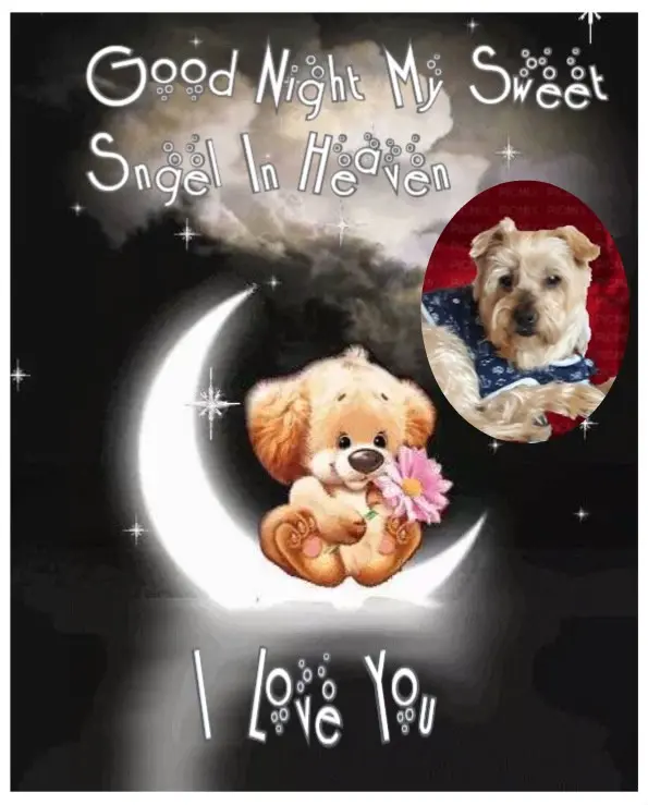 Condolence image of Dobrej Nocki❤️❤️❤️Jackusiu❤️