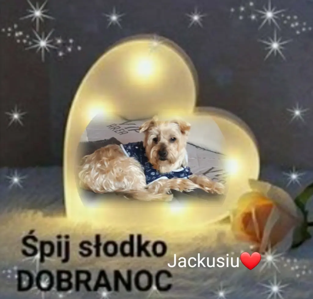 Condolence image of ⭐❤Gute Nacht Jackusiu❤⭐