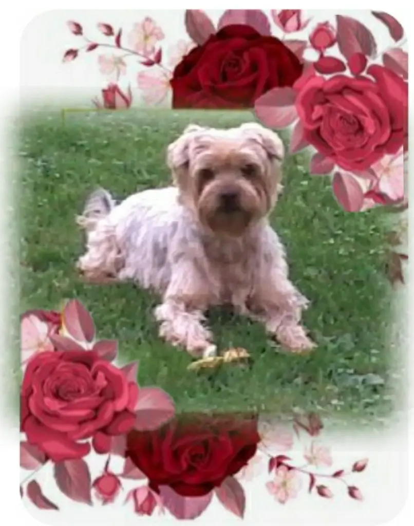 Condolence image of Ewa & Krzysztof 