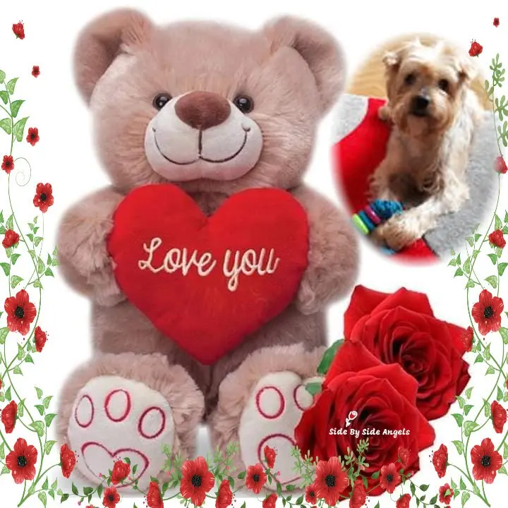 Condolence image of 28. Tygodni.....Bez Ciebie❤️⭐️Jackusiu❤️⭐️