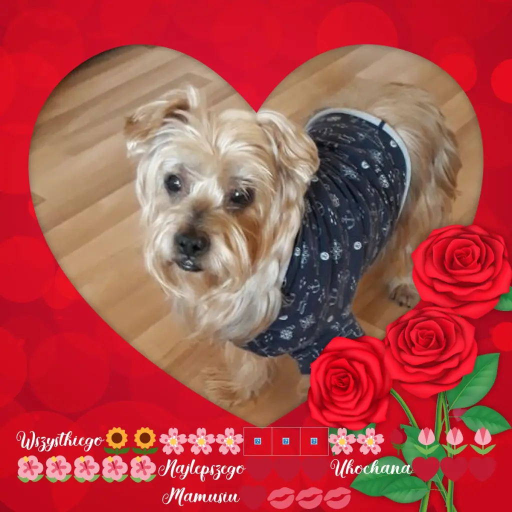 Condolence image of Dla Ukochanej❤️❤️❤️Mamusi❤️Ewy❤️