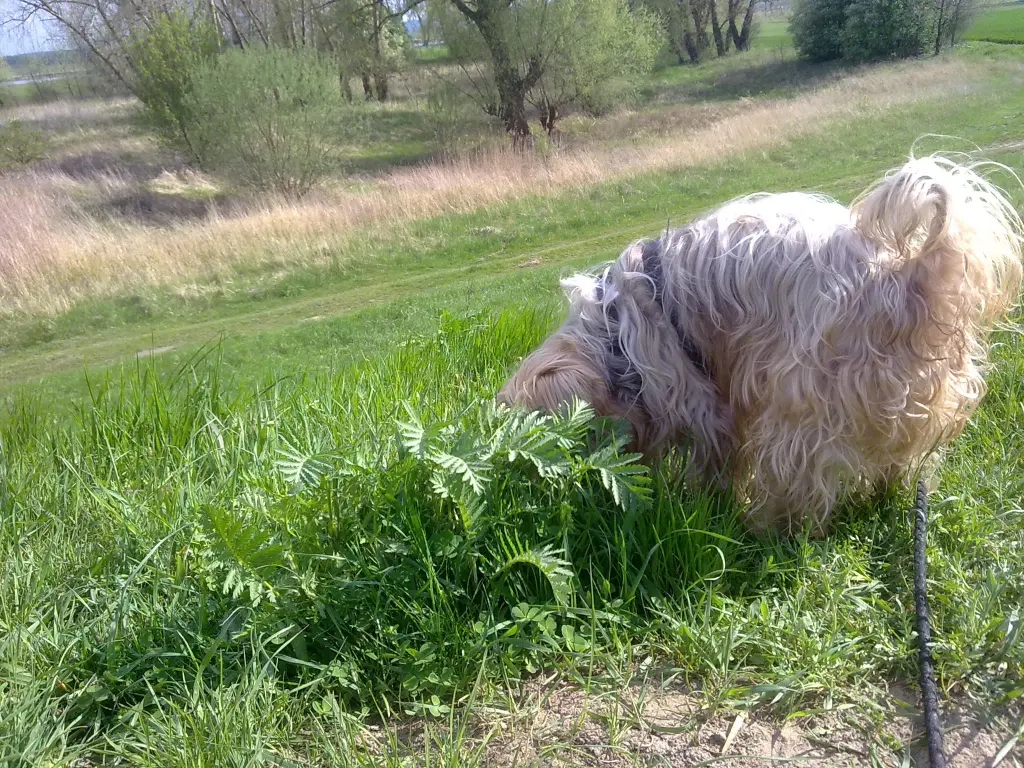 Condolence image of Sonntag...28 Wochen...