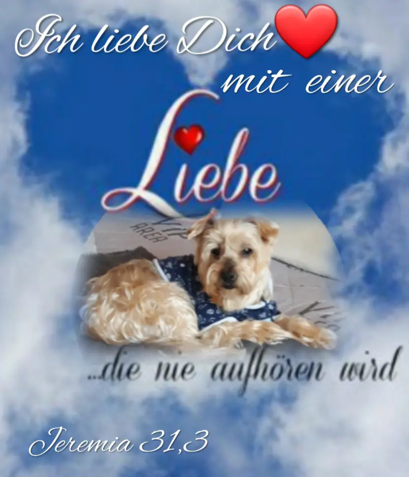 Condolence image of Ewa & Krzysztof 