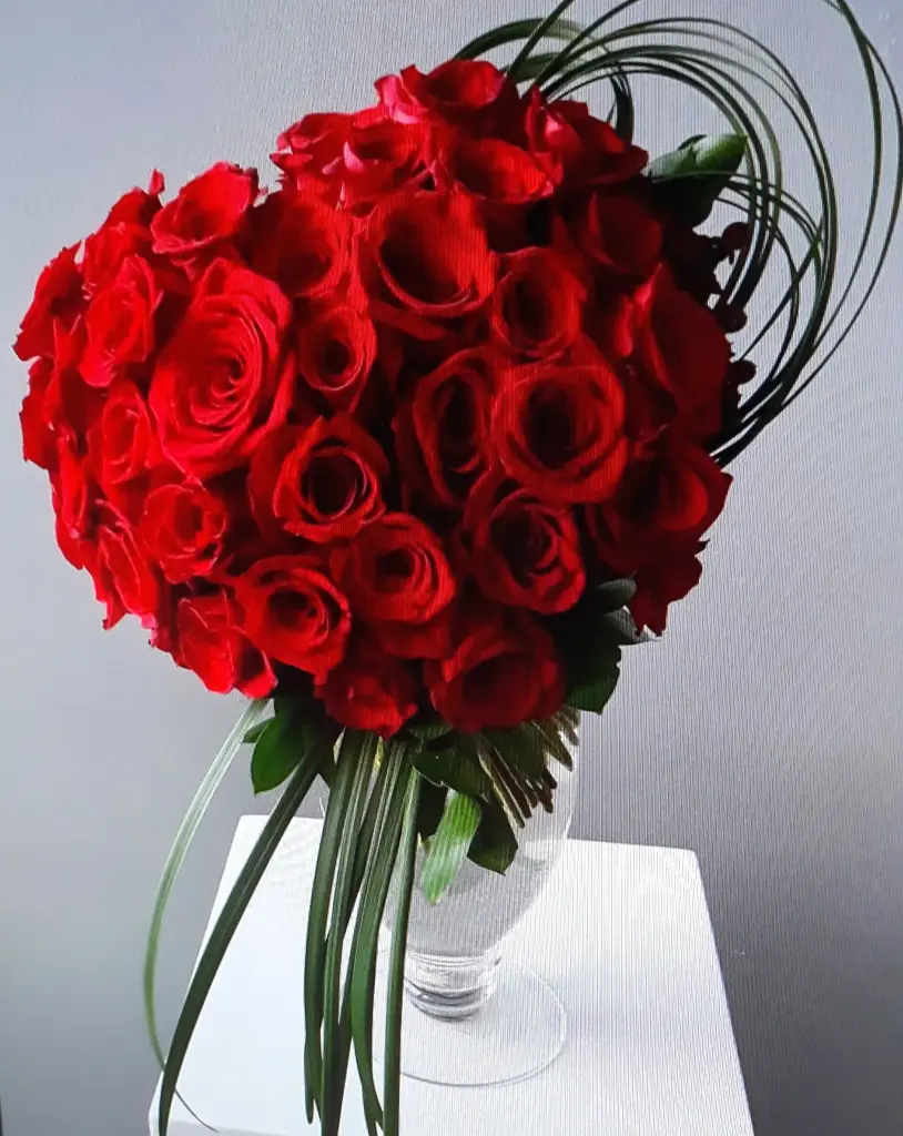 Condolence image of Martina mit Seelenhund Samy ♥️⭐♥️ für immer im Herzen 