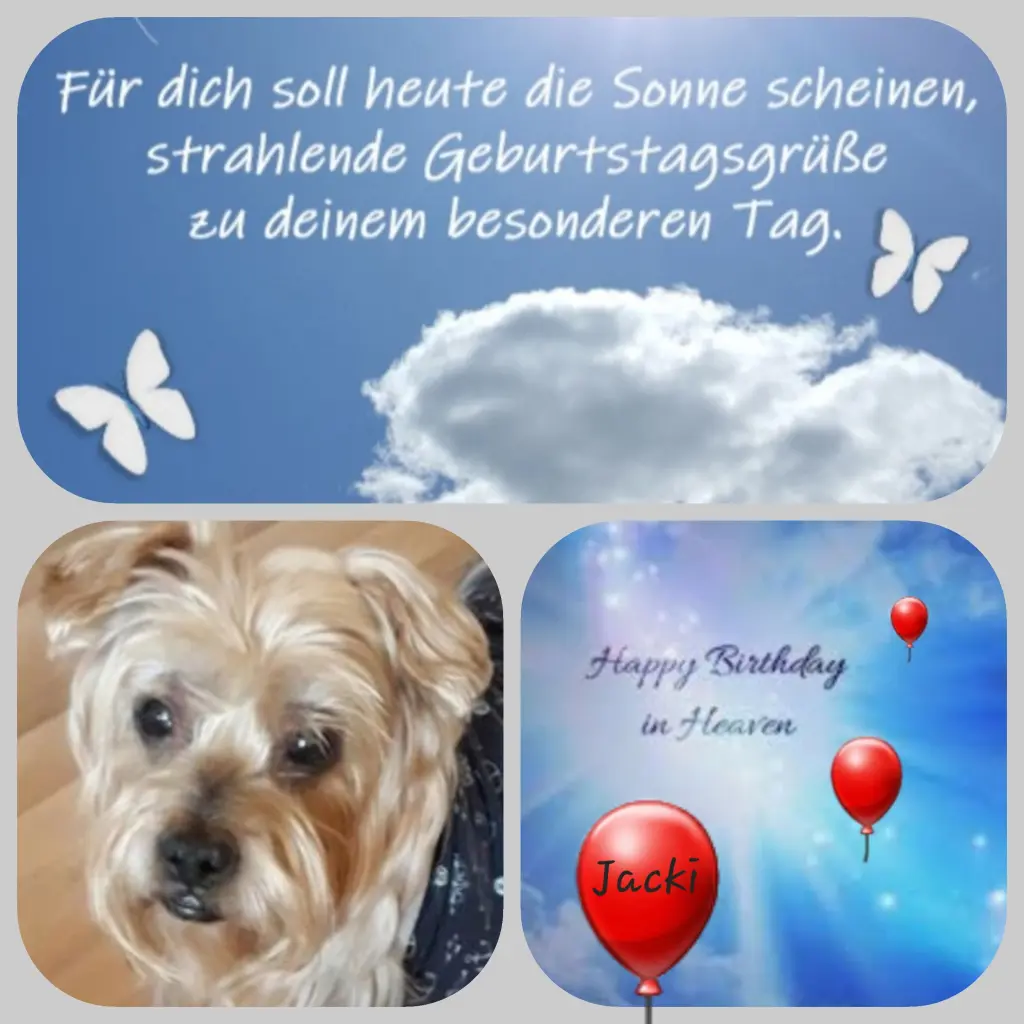 Condolence image of Birgit