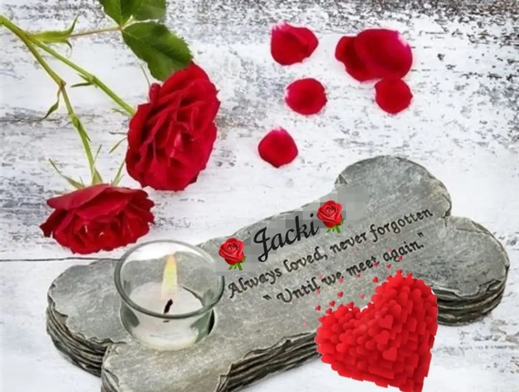 Condolence image of Snowy ❤️für Jacki ❤️