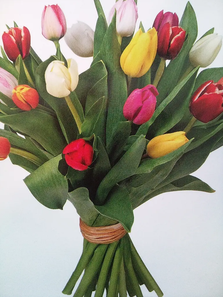 Condolence image of Manuela mit Seelenhund Flick