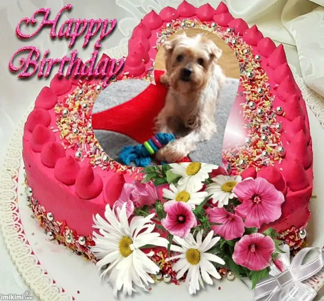 Condolence image of 15.Urodzinki❤️❤️❤️❤️❤️❤️❤️❤️❤️❤️❤️❤️❤️❤️❤️Jackusia❤️⭐️