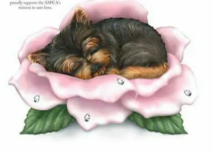 Condolence image of Gute Nacht ⭐⭐