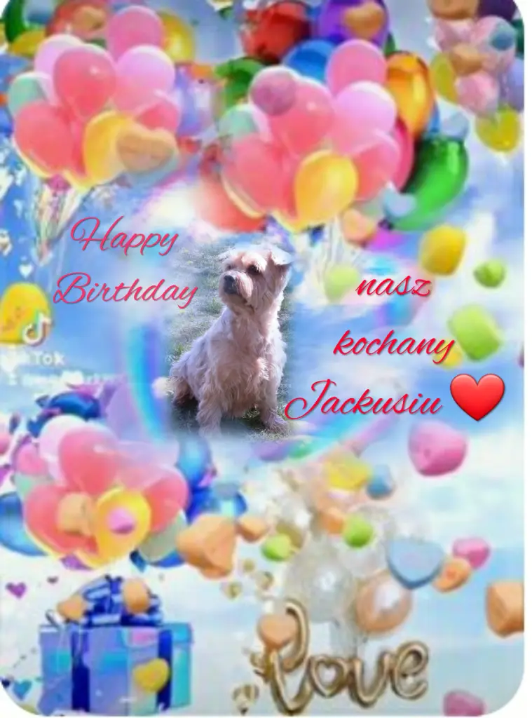 Condolence image of ⭐❤Gute Nacht Jackusiu❤