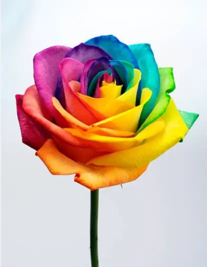 Condolence image of KRZYSZTOF