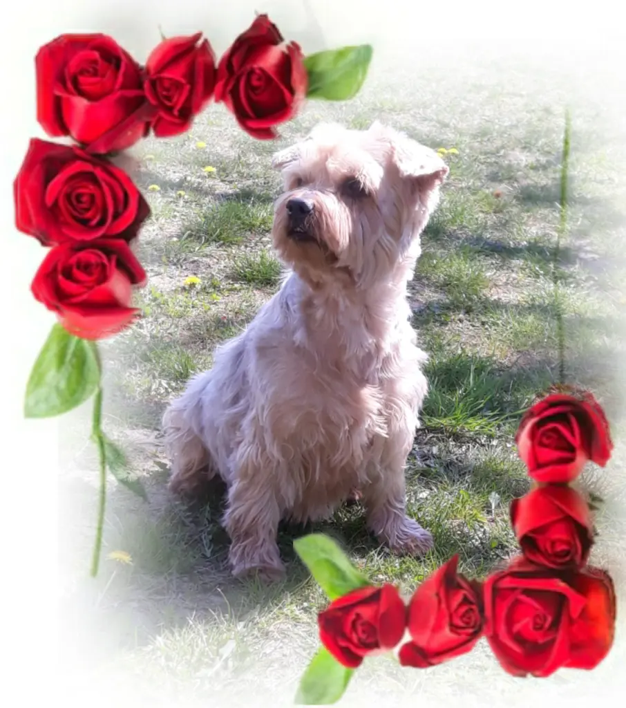 Condolence image of Ewa & Krzysztof