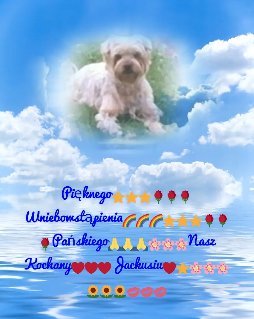 Condolence image of Piękne Róźyczki❤️❤️❤️❤️❤️❤️❤️❤️❤️❤️❤️dla Jackusia❤️⭐️