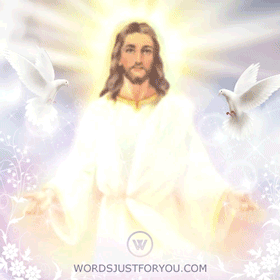 Condolence image of ❤️❤️❤️❤️❤️❤️❤️❤️❤️❤️❤️❤️