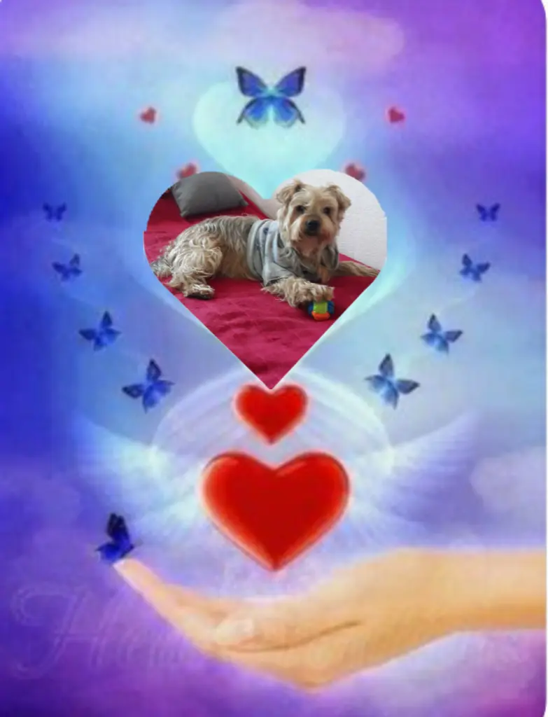 Condolence image of Ewa & Krzysztof 