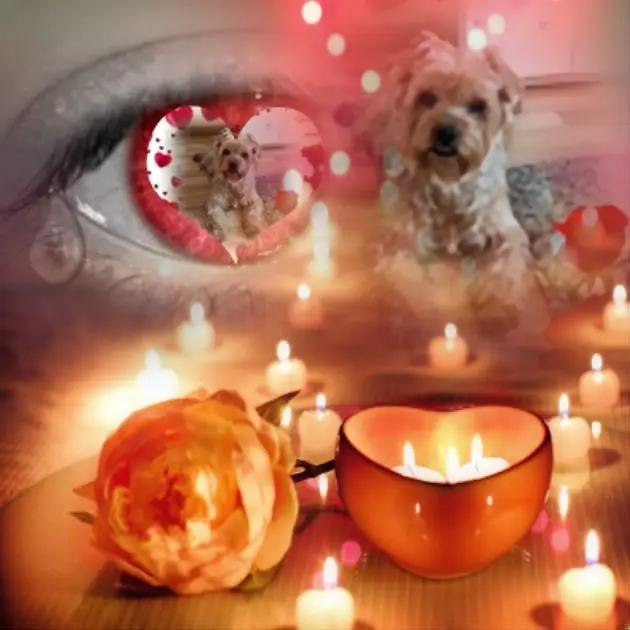 Condolence image of Dobrej Nocki❤️❤️❤️Jackusiu❤️