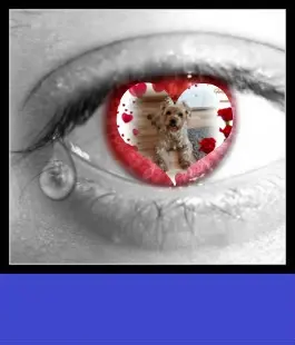 Condolence image of ❤️❤️❤️❤️❤️❤️❤️❤️❤️❤️❤️❤️