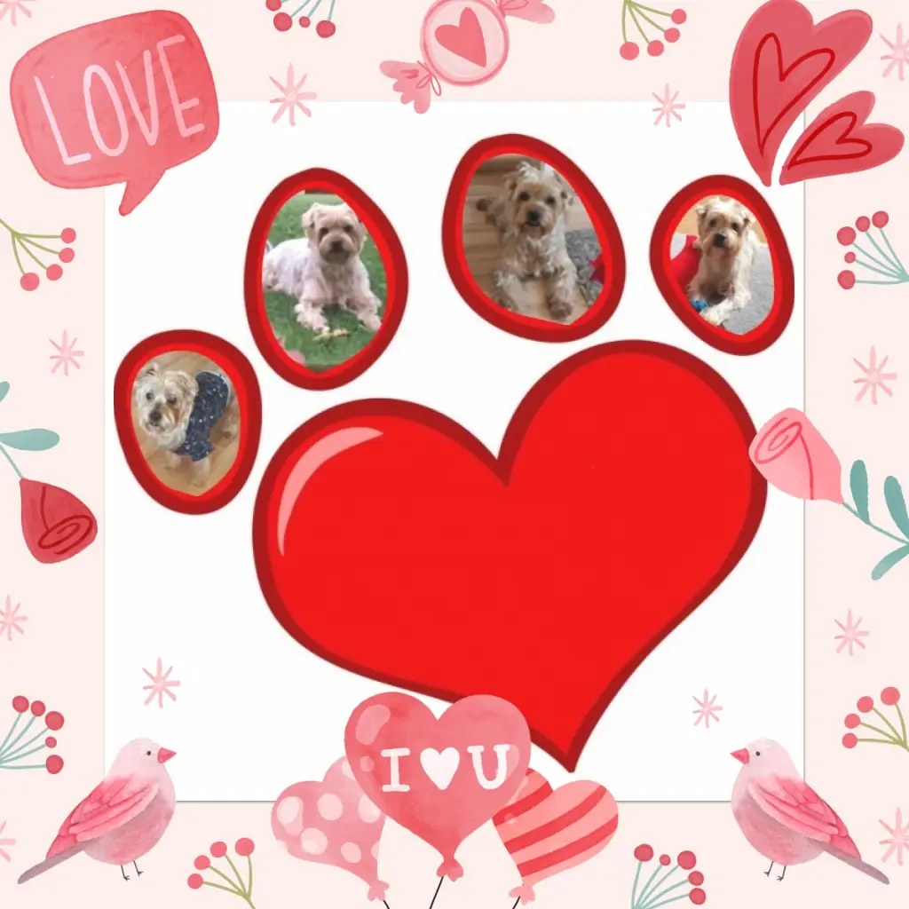 Condolence image of ❤️❤️❤️❤️❤️❤️❤️❤️❤️❤️❤️❤️