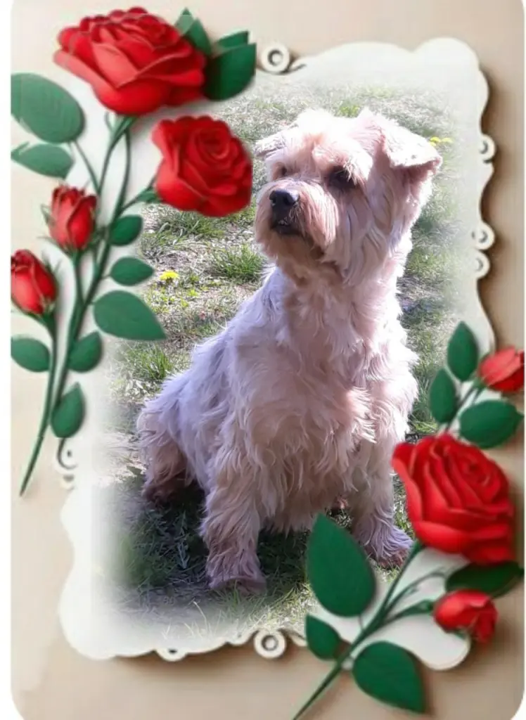 Condolence image of Ewa & Krzysztof 