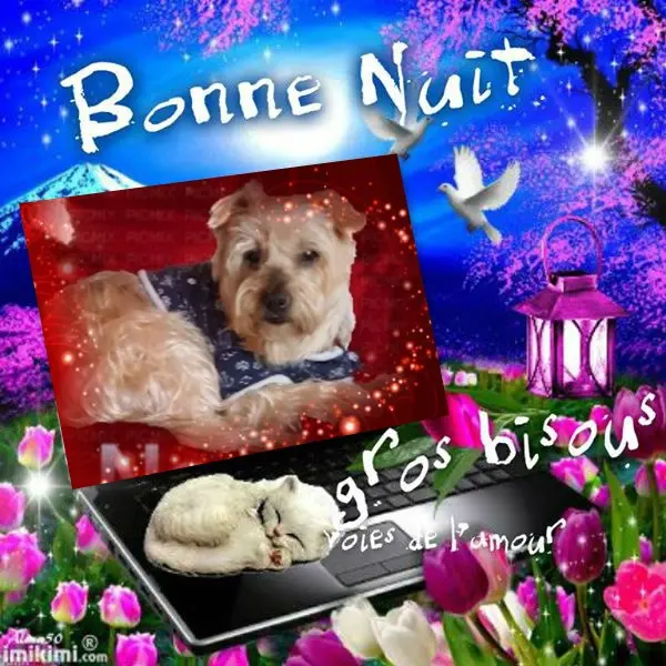 Condolence image of Dobrej Nocki❤️❤️❤️Jackusiu❤️