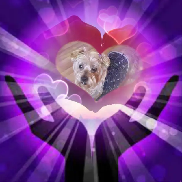 Condolence image of Dobrej Nocki❤️❤️❤️Jackusiu❤️