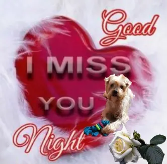 Condolence image of ⭐❤Gute  Nacht Jackusiu❤⭐