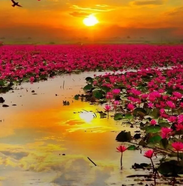 Condolence image of Geliebt♥️ und unvergessen❤️