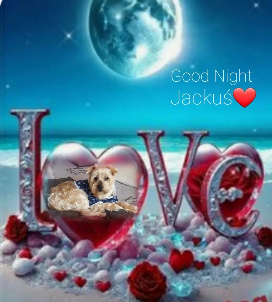 Condolence image of ⭐❤Gute Nacht Jackusiu❤⭐
