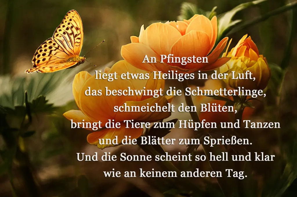 Condolence image of ❤️ Frohe Pfingsten ❤️