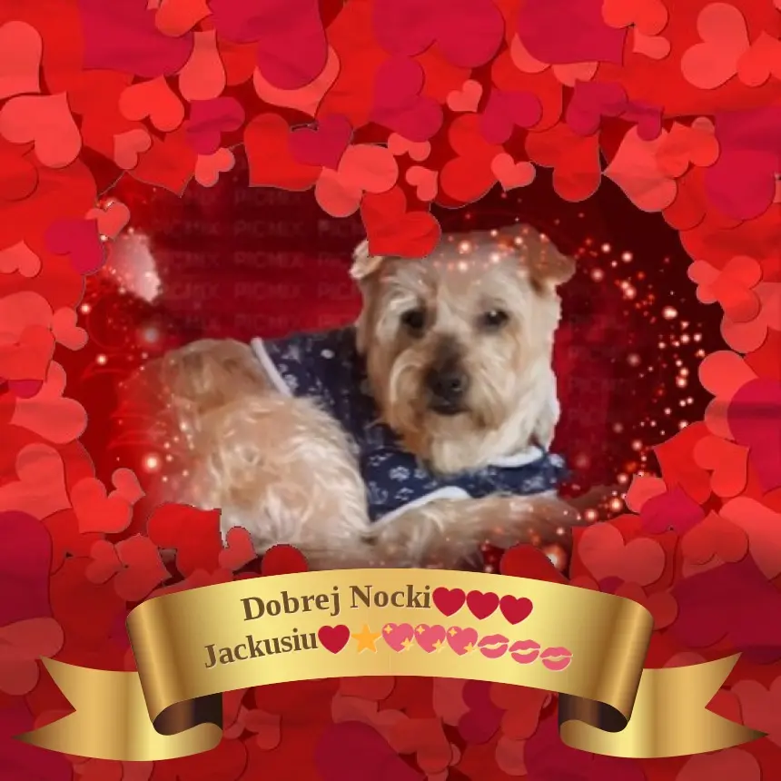 Condolence image of Dobrej Nocki❤️❤️❤️Jackusiu❤️