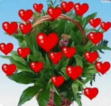 Condolence image of ⭐❤Gute Nacht Jackusiu❤⭐