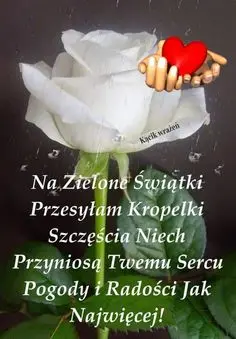 Condolence image of ❤️❤️❤️❤️❤️❤️❤️❤️❤️❤️❤️❤️