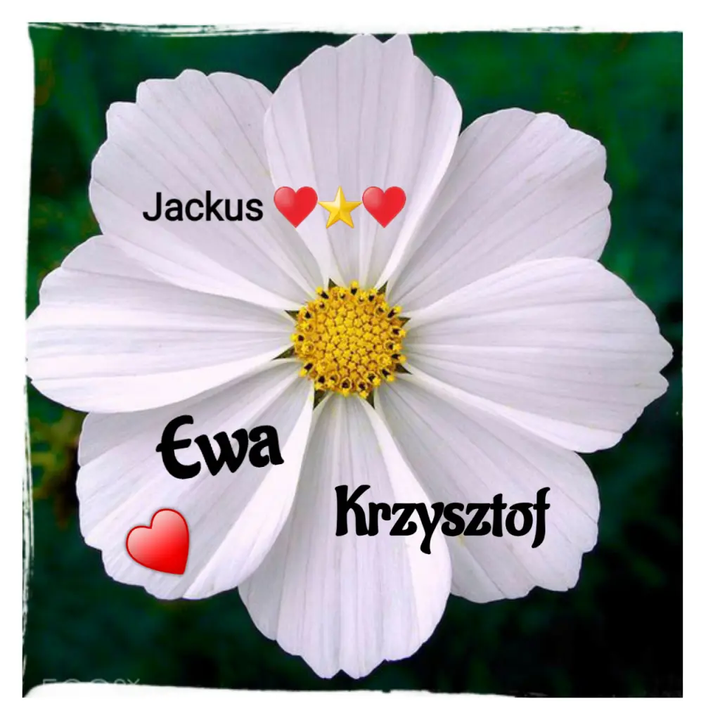 Condolence image of Martina mit Seelenhund Samy ♥️⭐♥️ für immer im Herzen