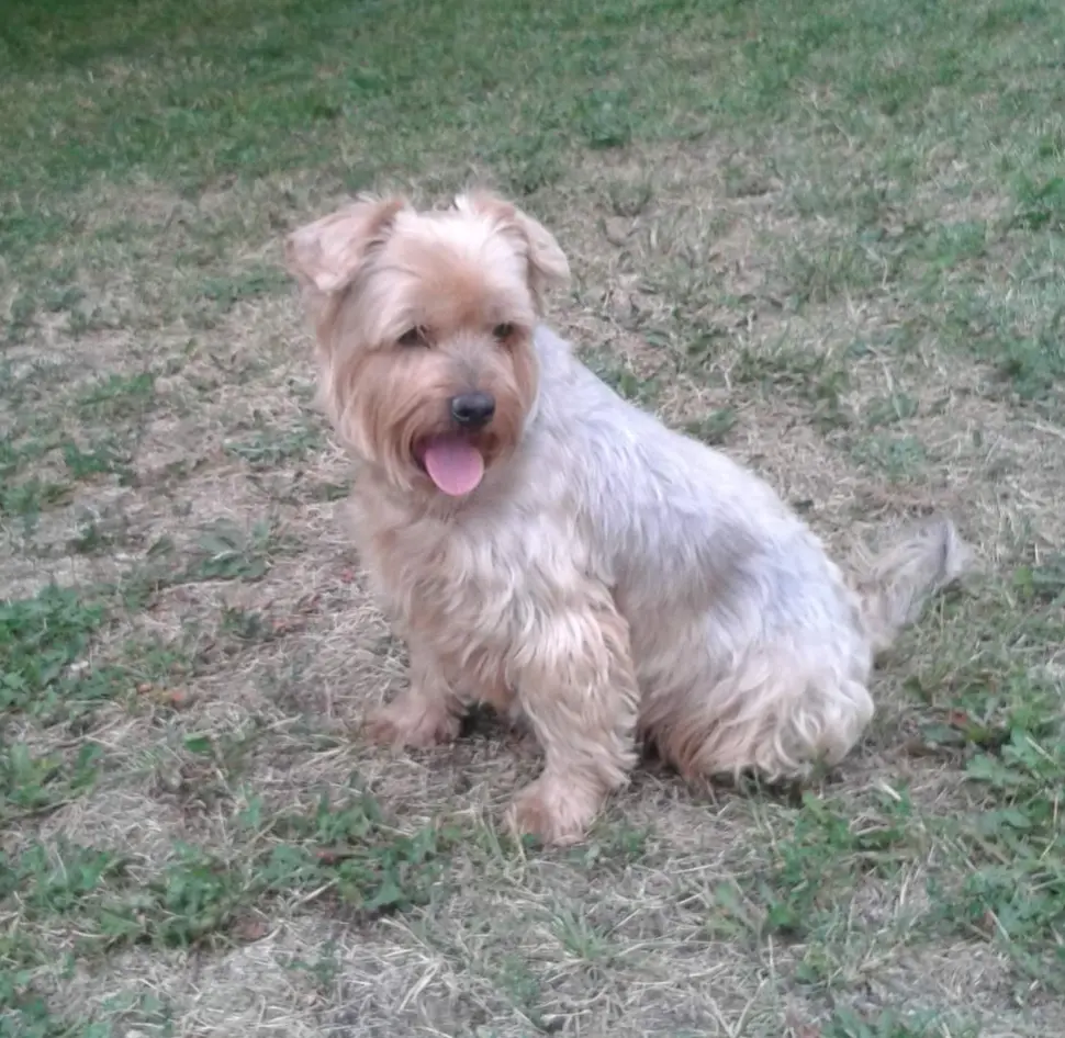 Condolence image of Ewa & Krzysztof