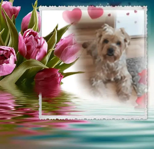 Condolence image of Dzień Dobry❤️❤️❤️Jackusiu❤️❤️❤️