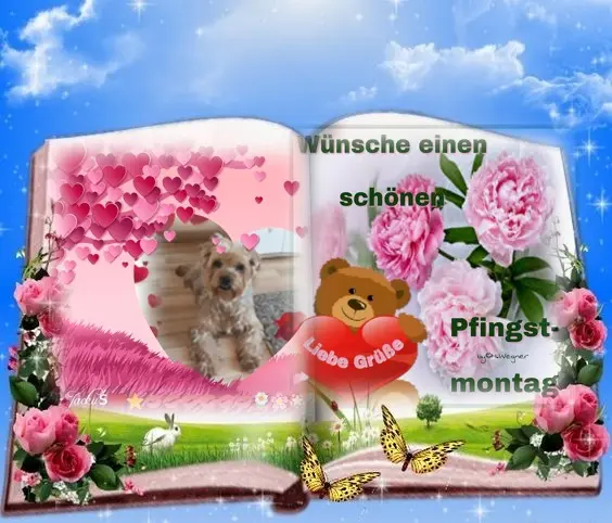 Condolence image of ❤️❤️❤️❤️❤️❤️❤️❤️❤️❤️❤️❤️