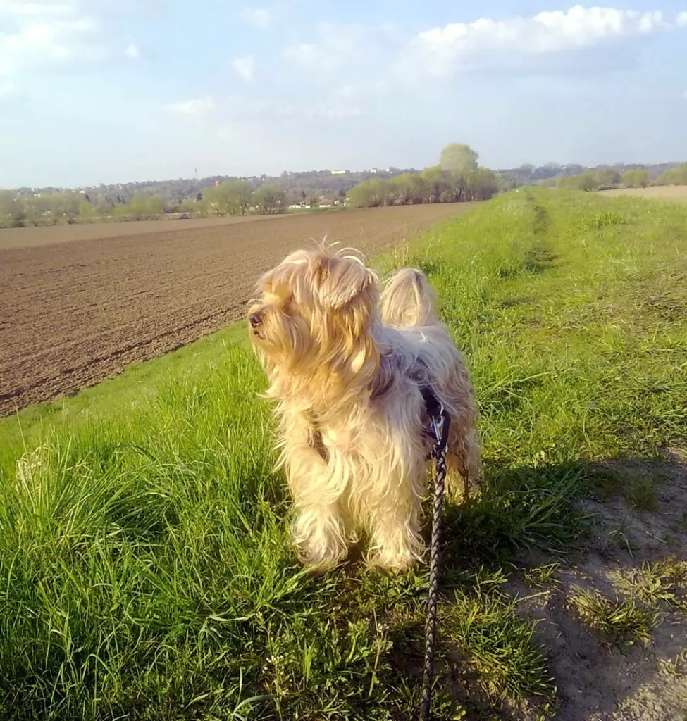 Condolence image of Ewa & Krzysztof 