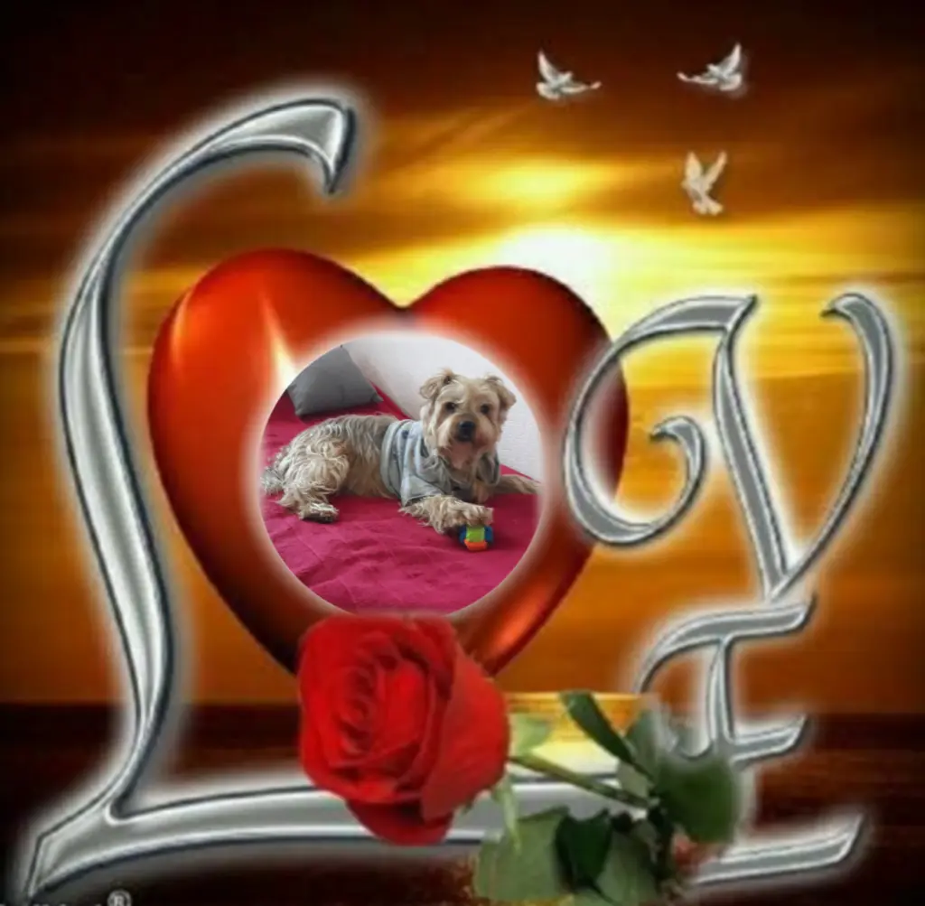 Condolence image of ⭐❤Gute Nacht Jackuś❤⭐