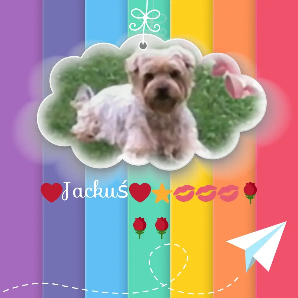 Condolence image of 31. Tygodni.....Bez Ciebie❤️⭐️Jackusiu❤️⭐️