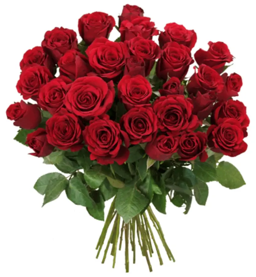 Condolence image of Ina Erberich