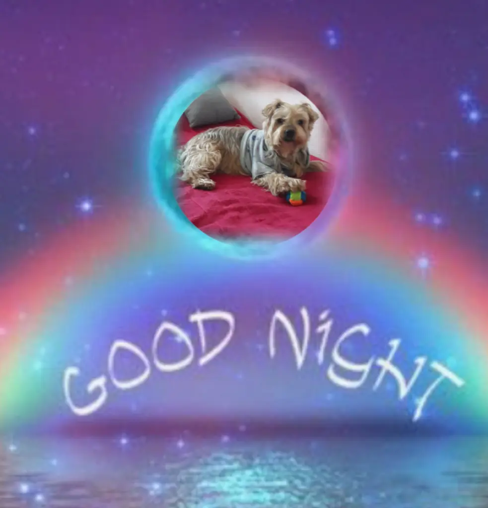 Condolence image of ⭐❤Gute Nacht Jackusiu❤⭐