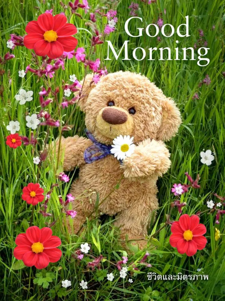 Condolence image of Für den lieben Jacki ♥️⭐♥️